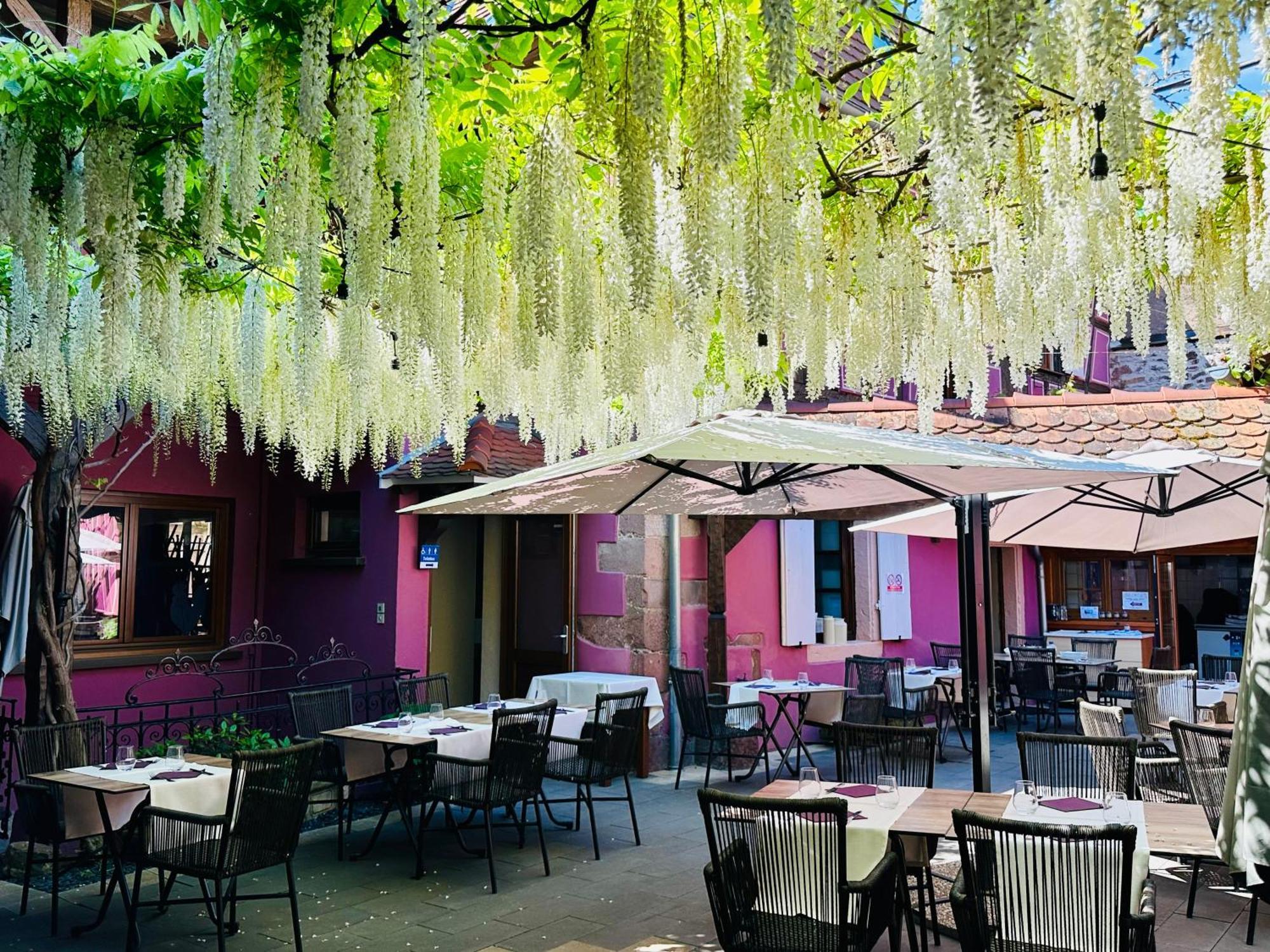 Auberge Le Meisenberg Châtenois Eksteriør billede