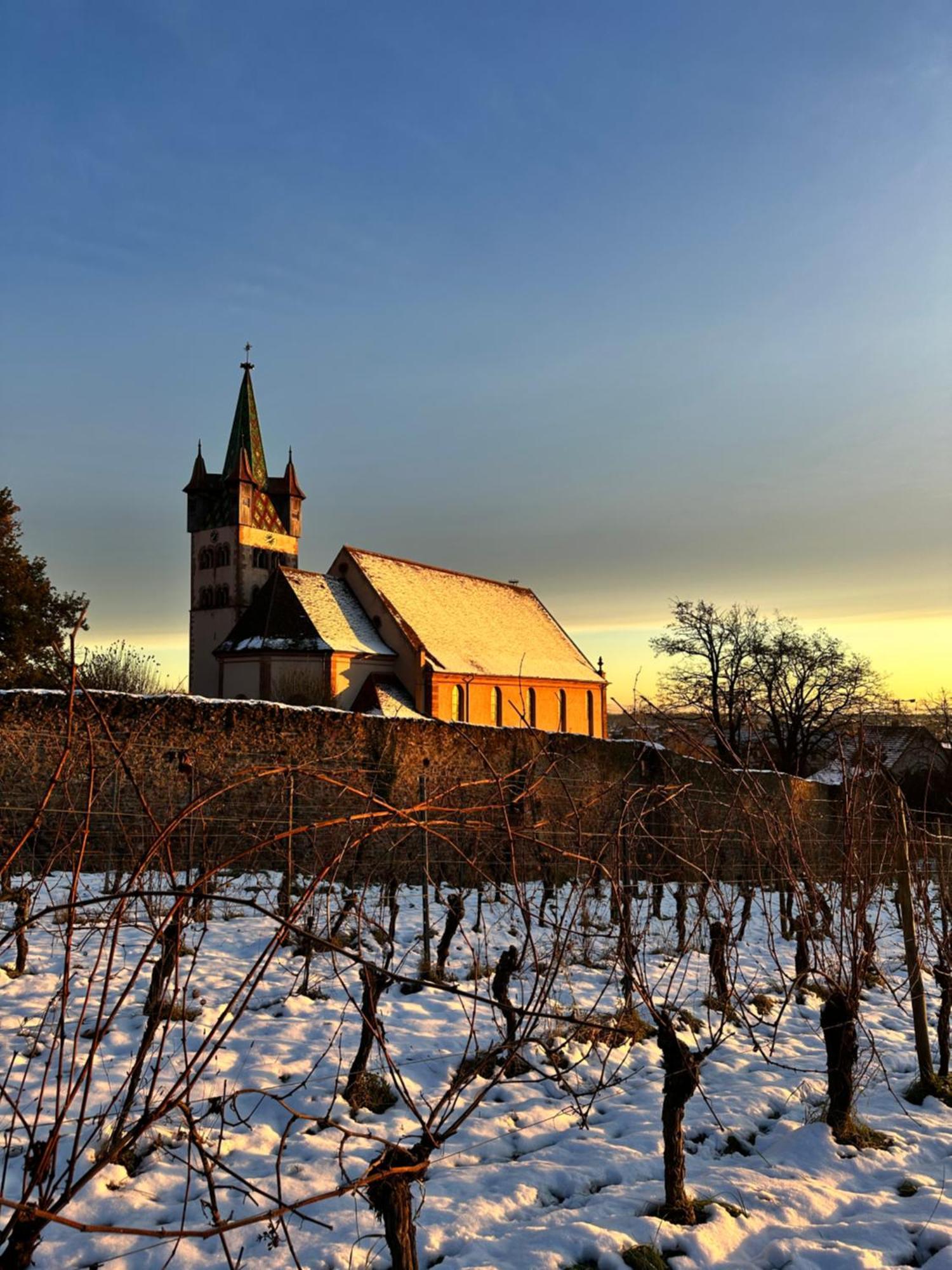 Auberge Le Meisenberg Châtenois Eksteriør billede