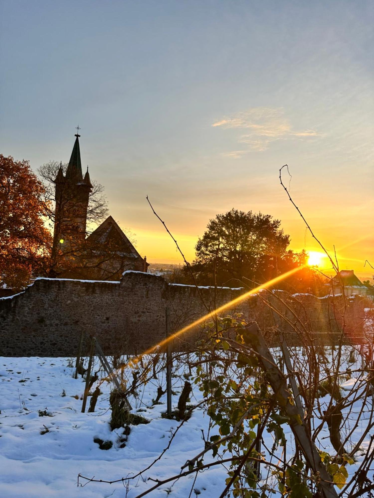 Auberge Le Meisenberg Châtenois Eksteriør billede